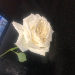 Meet your Posher, Tanya